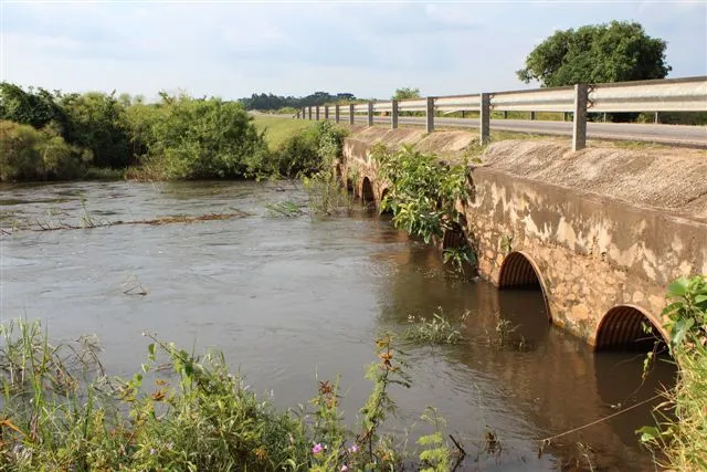 ASSESSING THE EFFECT OF RAINFALL VARIABILITY ON STREAMFLOW IN  RIVER MPOLOGOMA CATCHMENT