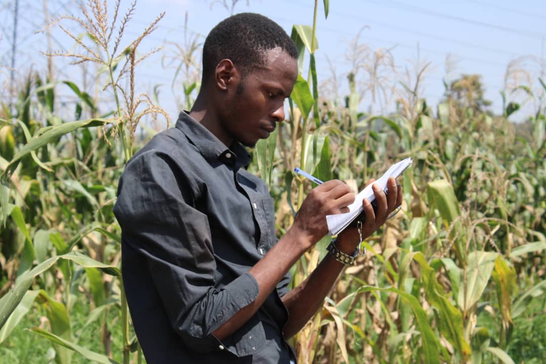 Predicting Rainfall to Boost Yields: Kyambogo Student Tests New Agricultural Tool